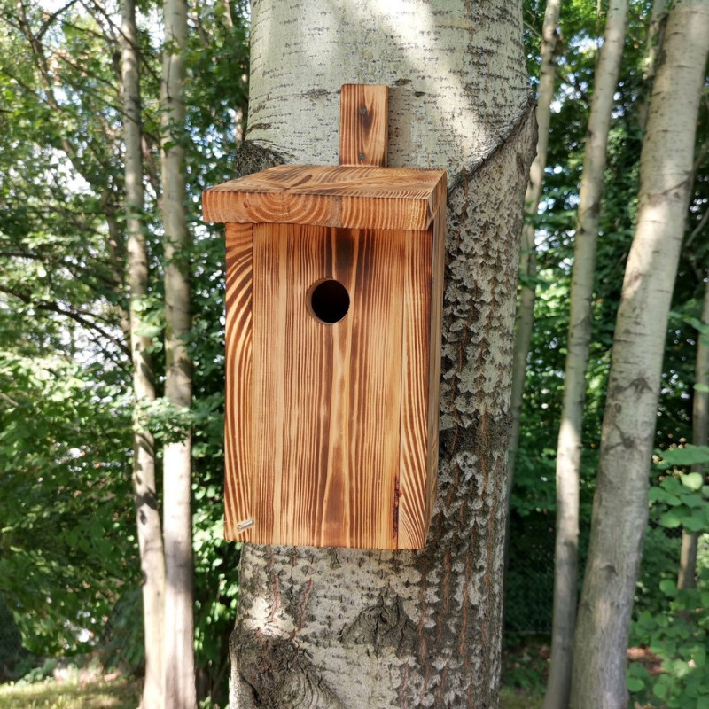 BUDKA DLA PTAKÓW IH PARIDAE